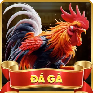Khuyến mãi hấp dẫn 88xx thể thao